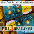 Para Qué Se Utiliza La Gelatina Kamagra cialis5